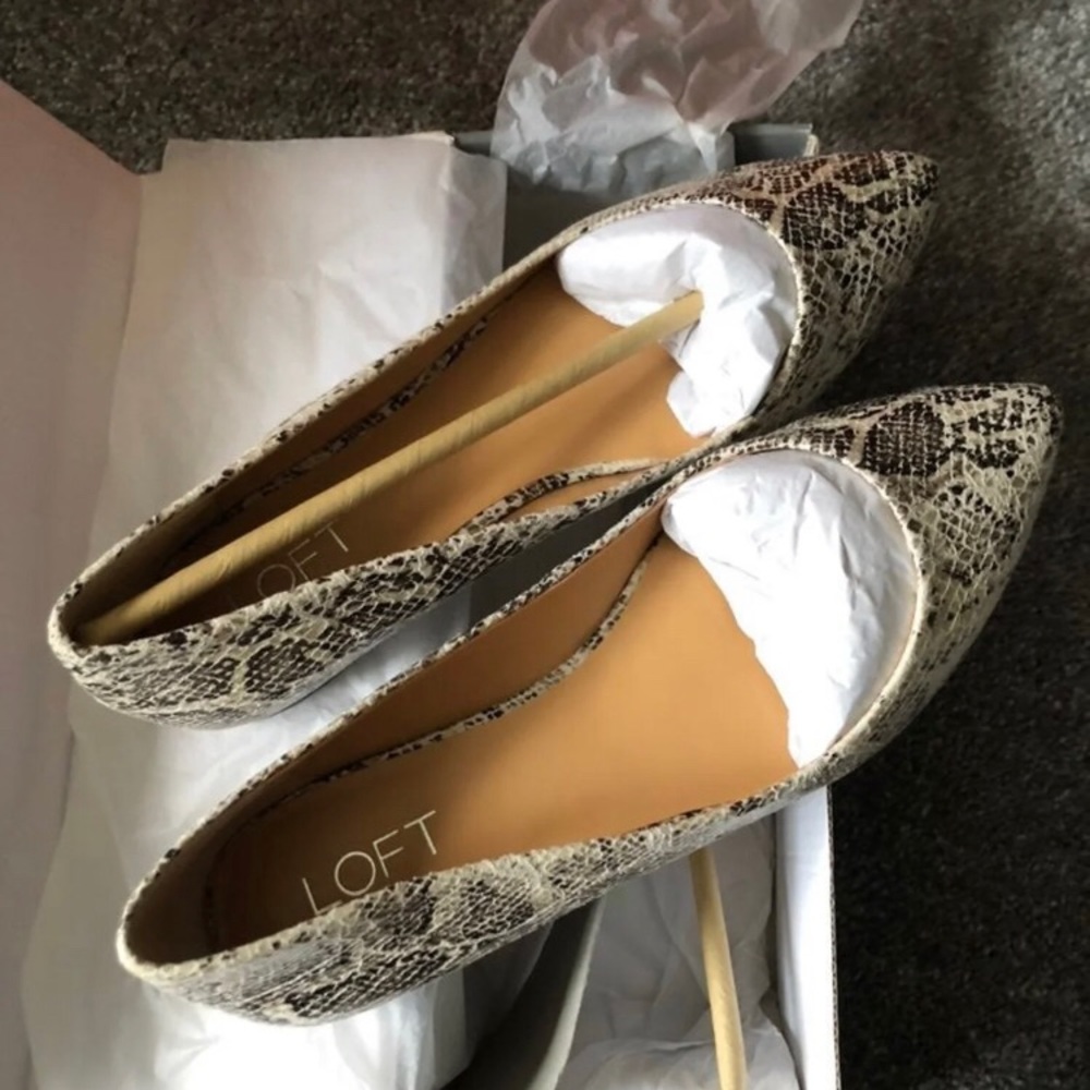 Ann Taylor Loft Flats